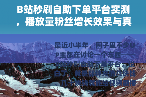 B站秒刷自助下单平台实测，播放量粉丝增长效果与真实成本分析