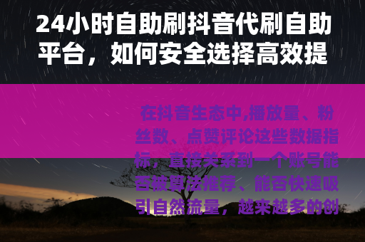 24小时自助刷抖音代刷自助平台，如何安全选择高效提升账号数据
