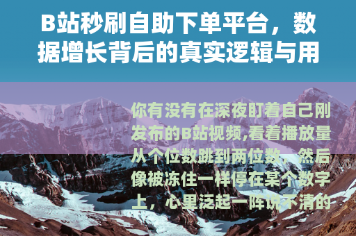 B站秒刷自助下单平台，数据增长背后的真实逻辑与用户须知