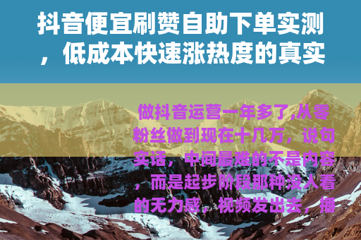 抖音便宜刷赞自助下单实测，低成本快速涨热度的真实操作与经验