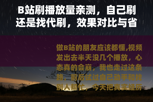 B站刷播放量亲测，自己刷还是找代刷，效果对比与省钱技巧