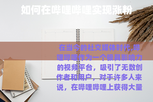 如何在哔哩哔哩实现涨粉