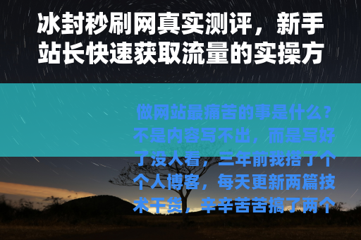 冰封秒刷网真实测评，新手站长快速获取流量的实操方法与关键提醒