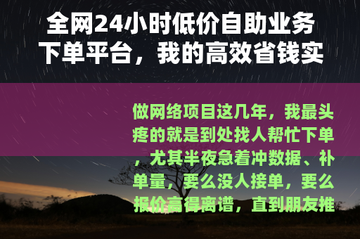 全网24小时低价自助业务下单平台，我的高效省钱实操指南