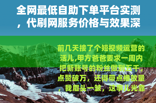 全网最低自助下单平台实测，代刷网服务价格与效果深度对比