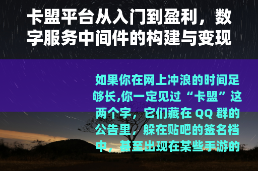 卡盟平台从入门到盈利，数字服务中间件的构建与变现逻辑