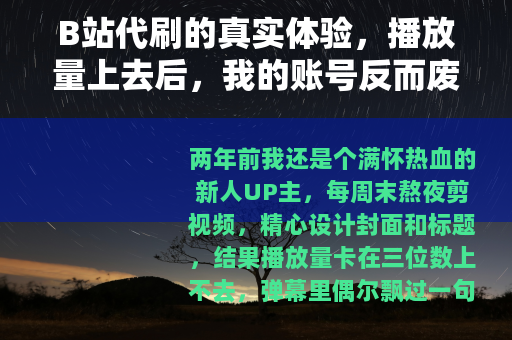 B站代刷的真实体验，播放量上去后，我的账号反而废了