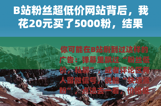 B站粉丝超低价网站背后,我花20元买了5000粉,结果账号废了 B站粉丝超低价网站背后,我花20元买了5000粉,结果账号废了