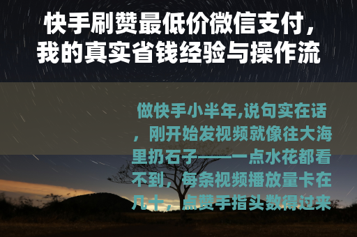 快手刷赞最低价微信支付，我的真实省钱经验与操作流程分享