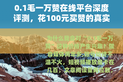 0.1毛一万赞在线平台深度评测，花100元买赞的真实效果