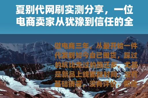 夏别代网刷实测分享，一位电商卖家从犹豫到信任的全流程记录