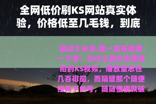 全网低价刷KS网站真实体验，价格低至几毛钱，到底靠不靠谱？