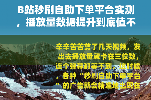 B站秒刷自助下单平台实测，播放量数据提升到底值不值得试