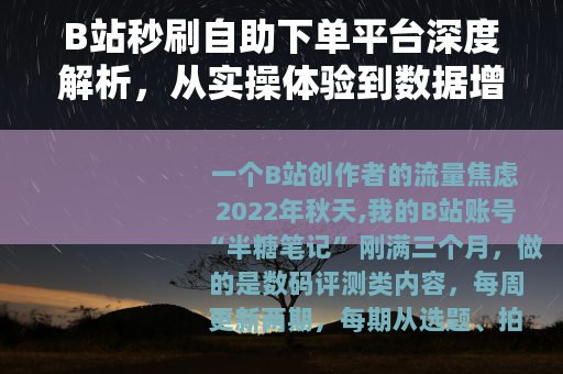 B站秒刷自助下单平台深度解析，从实操体验到数据增长的真实价值