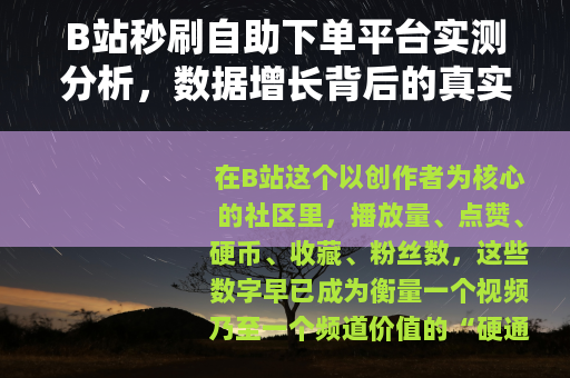 B站秒刷自助下单平台实测分析,数据增长背后的真实与虚幻 B站秒刷自助下单平台实测分析,数据增长背后的真实与虚幻