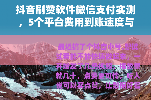抖音刷赞软件微信支付实测，5个平台费用到账速度与账号影响全记录