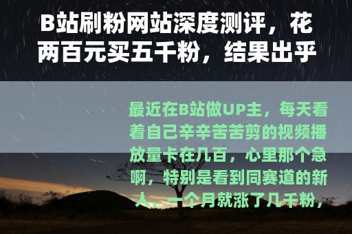 B站刷粉网站深度测评,花两百元买五千粉,结果出乎意料 B站刷粉网站深度测评,花两百元买五千粉,结果出乎意料