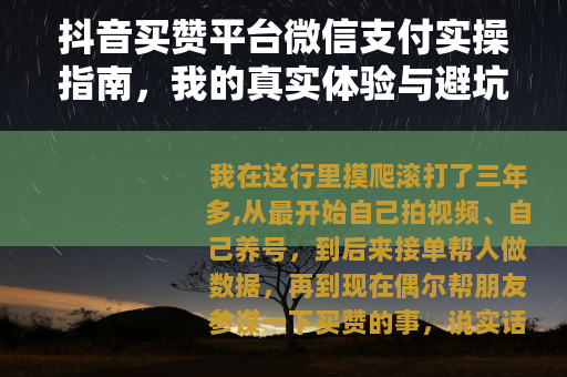 抖音买赞平台微信支付实操指南，我的真实体验与避坑心得