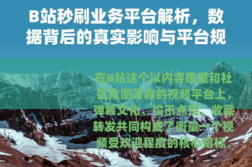 B站秒刷业务平台解析，数据背后的真实影响与平台规则