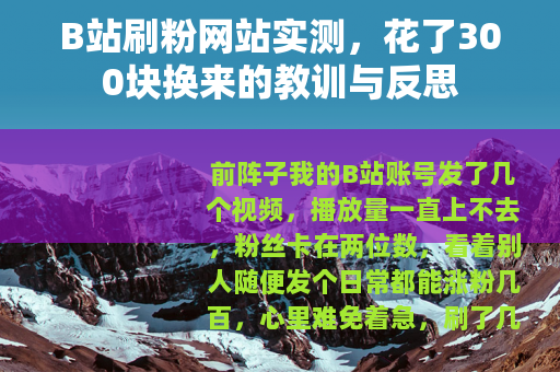 B站刷粉网站实测，花了300块换来的教训与反思