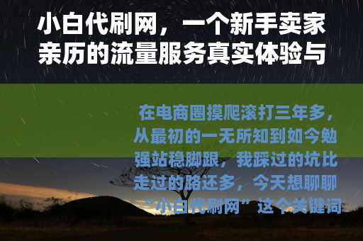 小白代刷网，一个新手卖家亲历的流量服务真实体验与思考