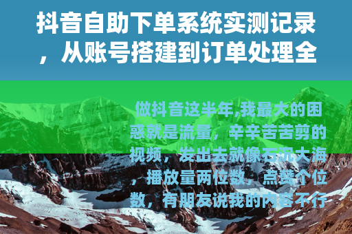 抖音自助下单系统实测记录，从账号搭建到订单处理全流程
