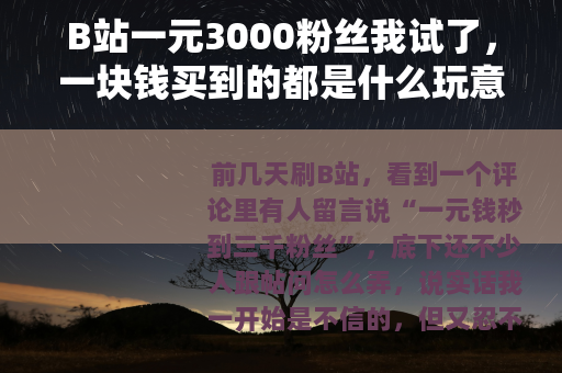 B站一元3000粉丝我试了，一块钱买到的都是什么玩意儿