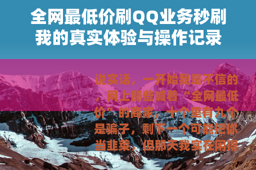 全网最低价刷QQ业务秒刷我的真实体验与操作记录