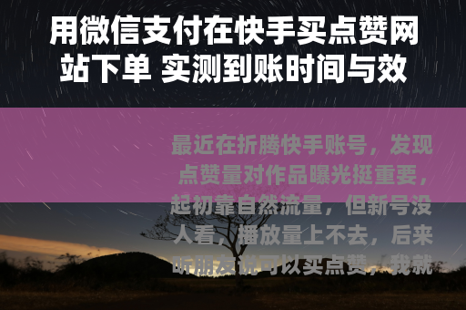 用微信支付在快手买点赞网站下单 实测到账时间与效果