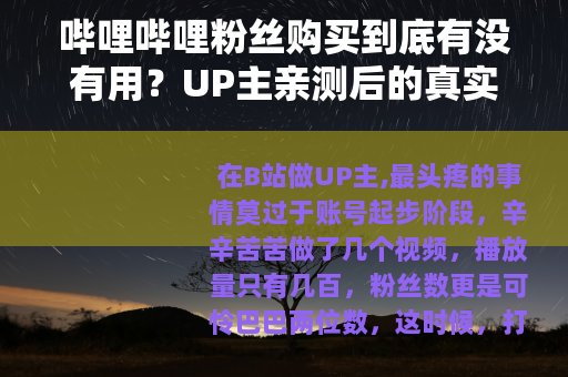 哔哩哔哩粉丝购买到底有没有用？UP主亲测后的真实效果与长期影响