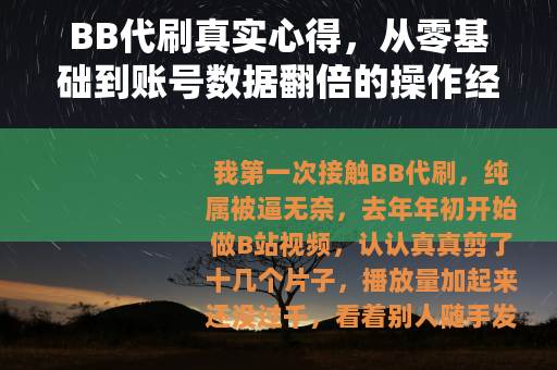 BB代刷真实心得，从零基础到账号数据翻倍的操作经验