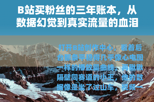 B站买粉丝的三年账本，从数据幻觉到真实流量的血泪复盘