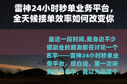 雷神24小时秒单业务平台，全天候接单效率如何改变你的工作节奏
