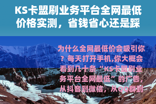 KS卡盟刷业务平台全网最低价格实测，省钱省心还是踩坑？深度评测