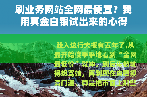 刷业务网站全网最便宜？我用真金白银试出来的心得