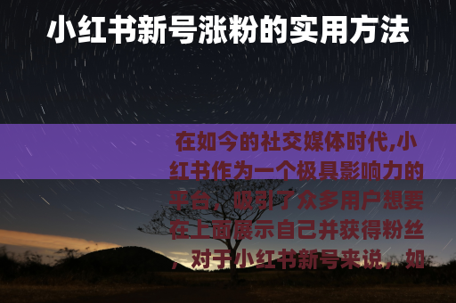 小红书新号涨粉的实用方法