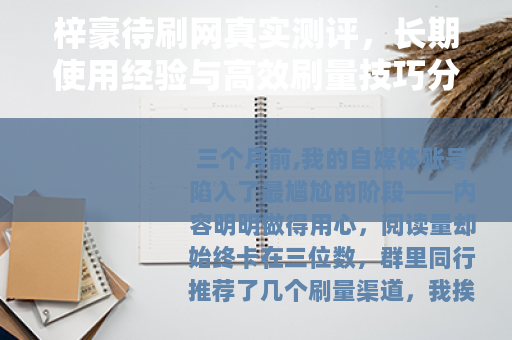 梓豪待刷网真实测评，长期使用经验与高效刷量技巧分享