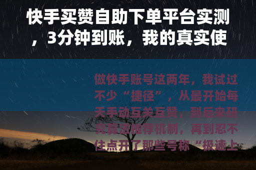 快手买赞自助下单平台实测，3分钟到账，我的真实使用体验与思考