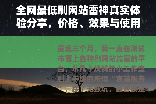 全网最低刷网站雷神真实体验分享，价格、效果与使用全流程
