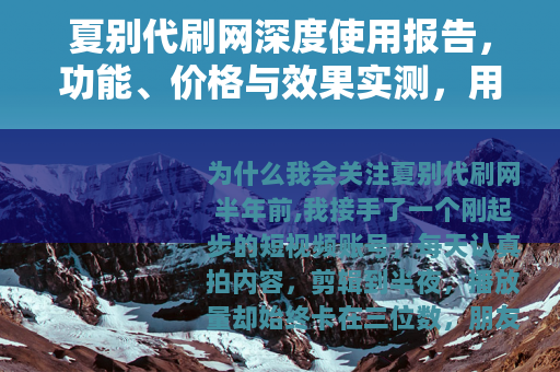 夏别代刷网深度使用报告，功能、价格与效果实测，用户真实反馈汇总