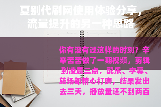 夏别代刷网使用体验分享，流量提升的另一种思路