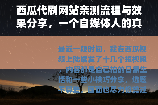 西瓜代刷网站亲测流程与效果分享，一个自媒体人的真实记录