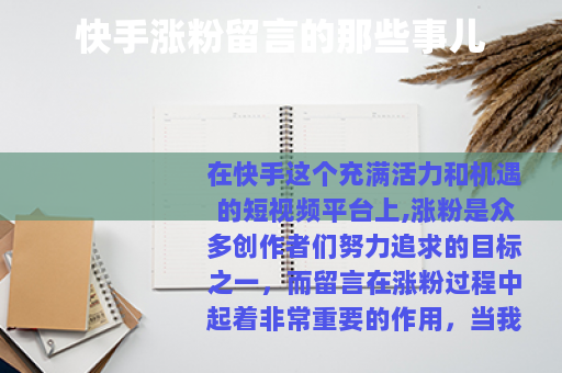 快手涨粉留言的那些事儿