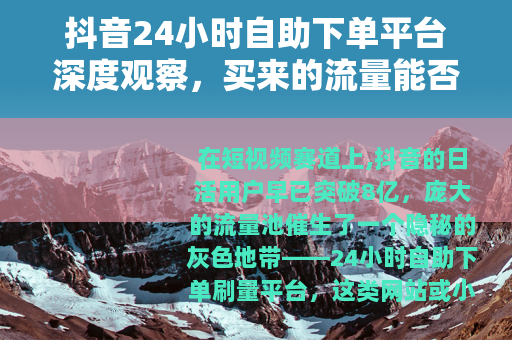 抖音24小时自助下单平台深度观察，买来的流量能否持续？