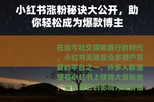 小红书涨粉秘诀大公开，助你轻松成为爆款博主
