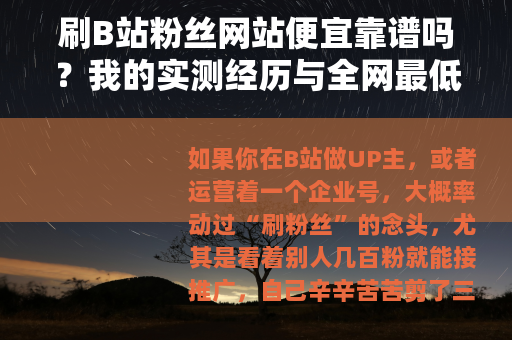 刷B站粉丝网站便宜靠谱吗？我的实测经历与全网最低价网站对比