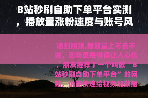 B站秒刷自助下单平台实测，播放量涨粉速度与账号风险全解析