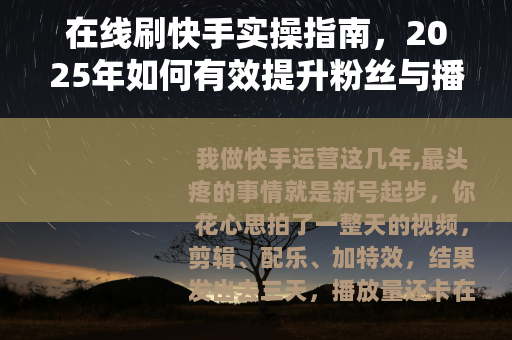 在线刷快手实操指南，2025年如何有效提升粉丝与播放量