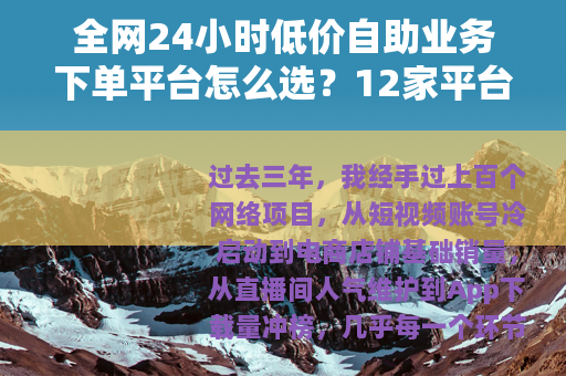 全网24小时低价自助业务下单平台怎么选？12家平台实测数据对比