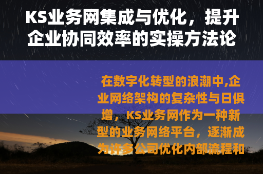 KS业务网集成与优化，提升企业协同效率的实操方法论